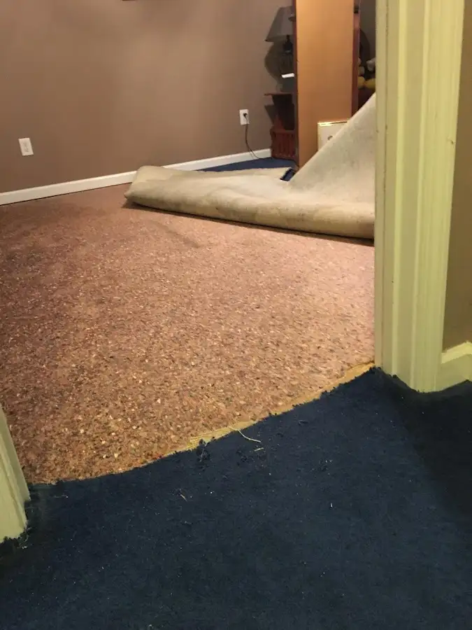 Carpet pad removal revealing water damage during Water Mitigation Services in Lynn