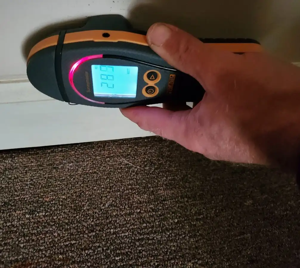 Moisture detection at baseboard during Mold Inspection & Testing in Lynn